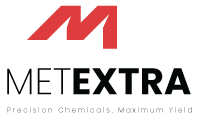 Logo Dark